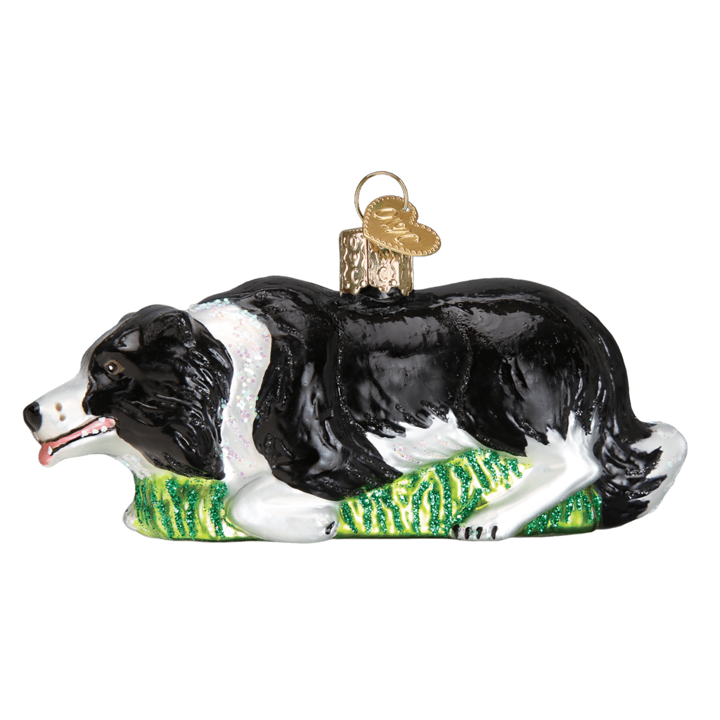 Old World Christmas Herding Border Collie Ornament – Winterwood Gift